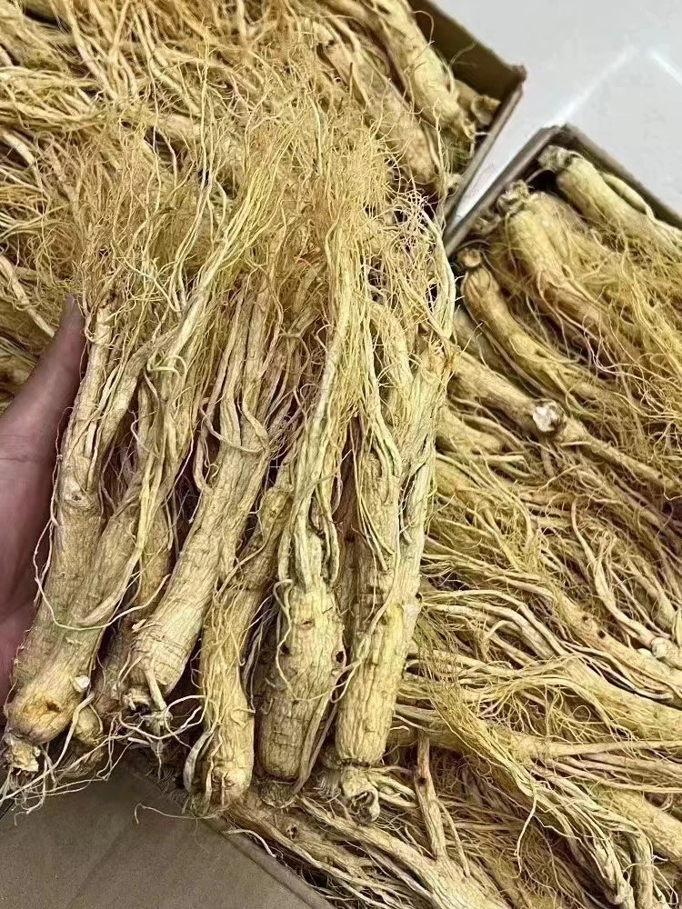 好货干人参条250克