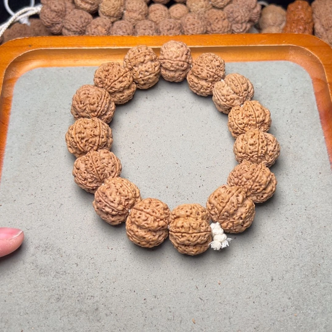 菩提13号金刚菩提双龙梅花24