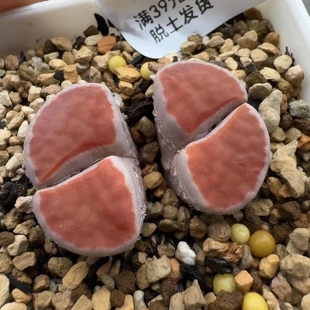 ღ****146哈哈哈哈哈哈哈哈哈