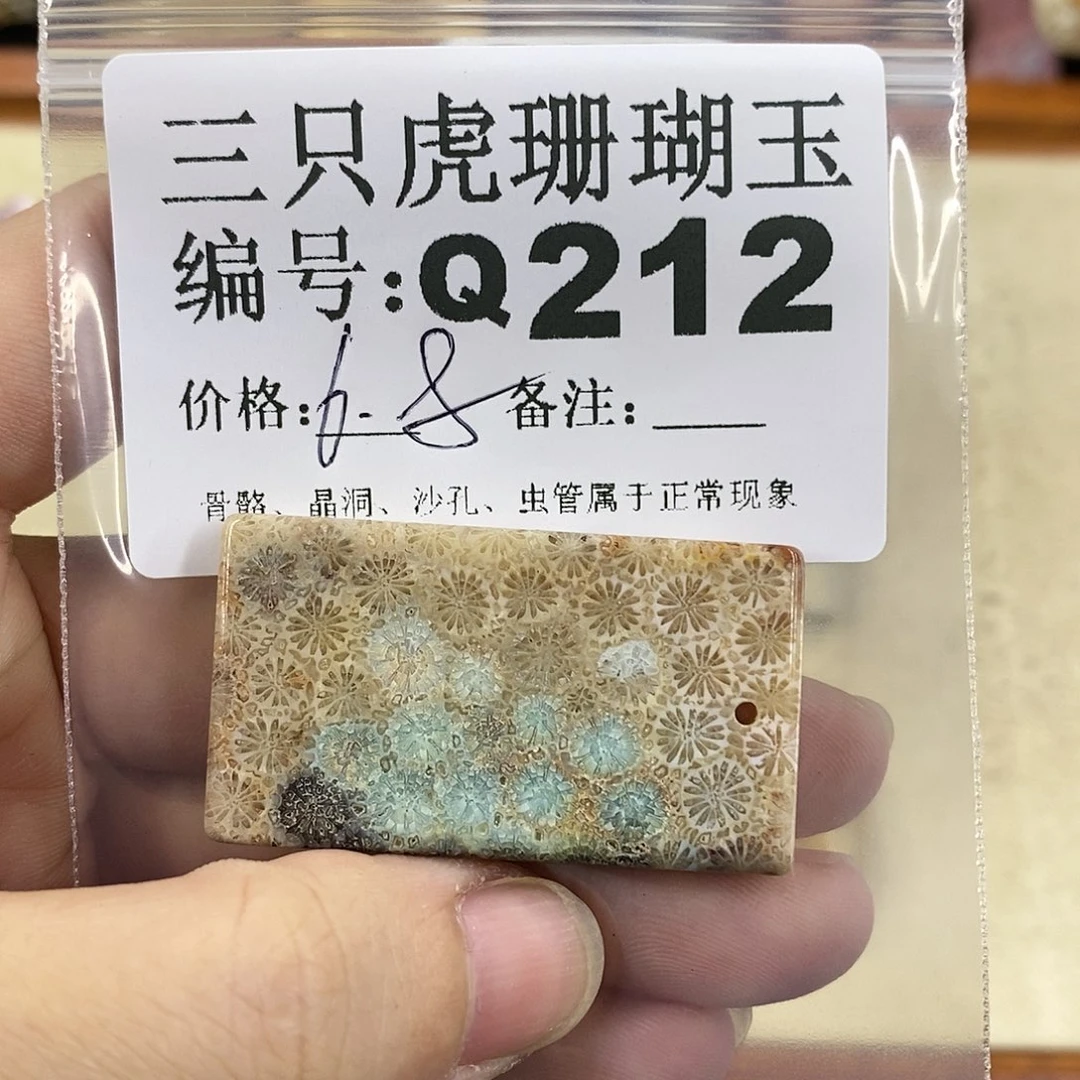 硅化珊瑚（珊瑚玉）1未镶嵌曾**时
