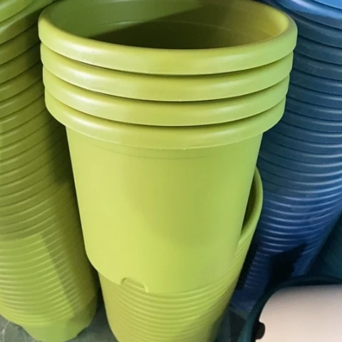 树脂四季4号微瑕果绿无托8个