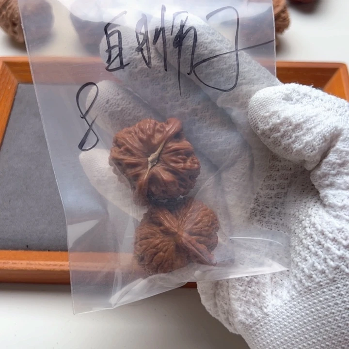 把件文玩核桃白狮子