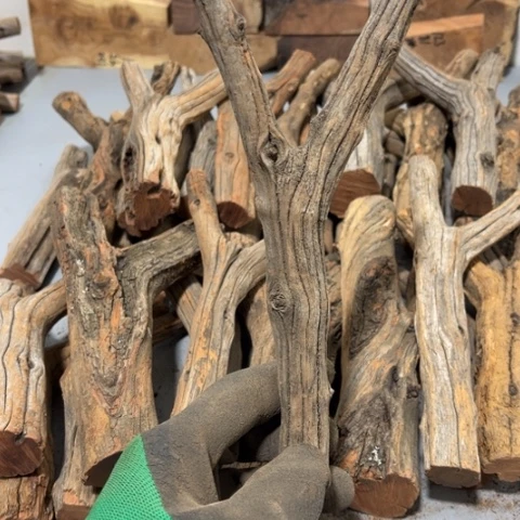 大果紫檀（缅甸花梨）王****画