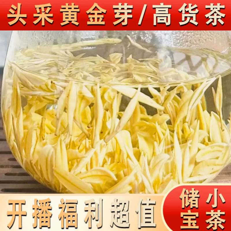 开播福利/头采A2【黄金芽/醇香绵柔/口感很好/高性价比】