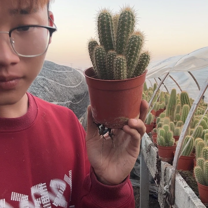 嗔***无花朵倾城哈哈哈哈哈哈