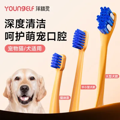 【达人专属】洋精灵宠物牙刷猫狗小头柔软牙刷清洁口腔刷牙萌宠专