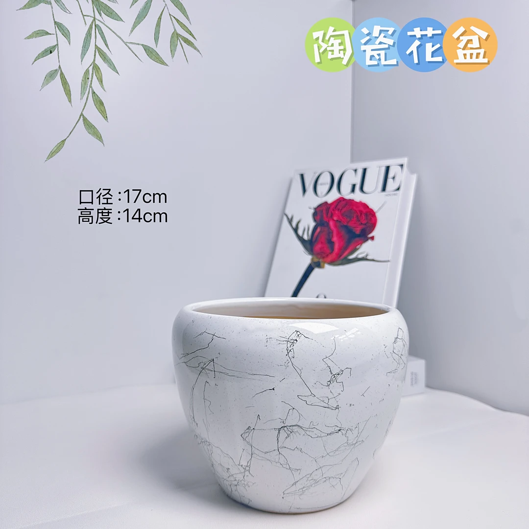 陶瓷花盆白飞丝小苹果小号口径17高度14分蝴蝶兰君子兰发财树多肉