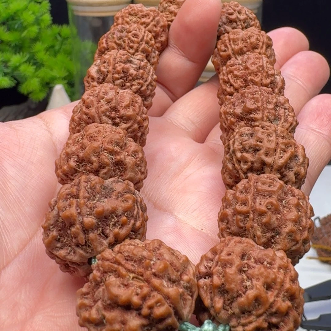 手串金刚菩提梁蜂窝双龙