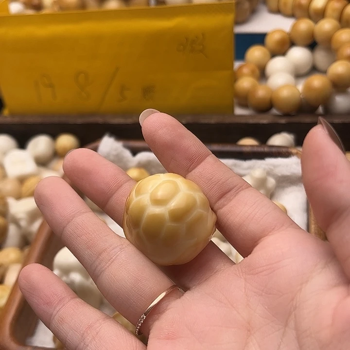 王***芽菩提根/象牙果吊坠