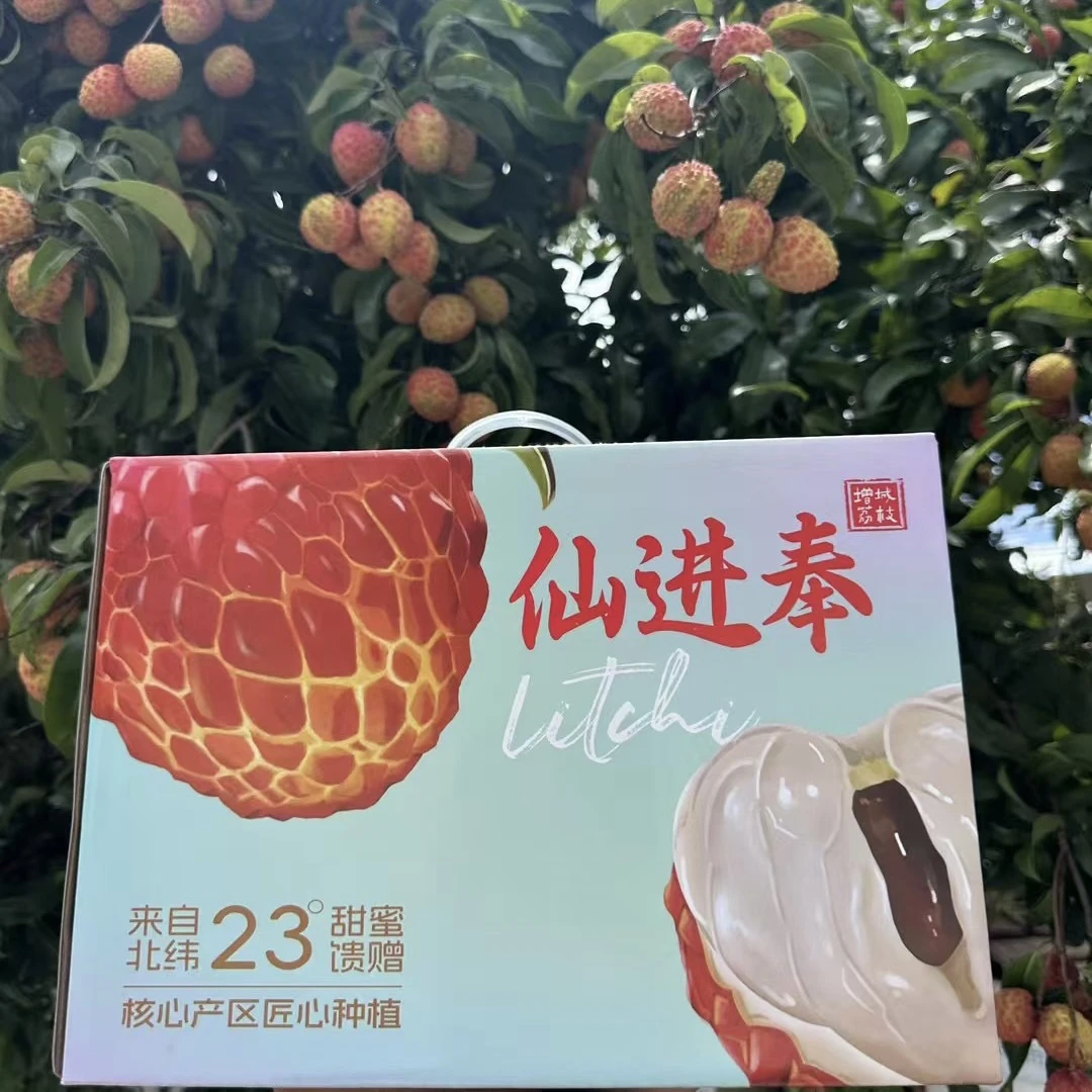 【顺丰包邮】仙进奉荔枝广东增城核心产区核小肉厚3斤起礼盒装