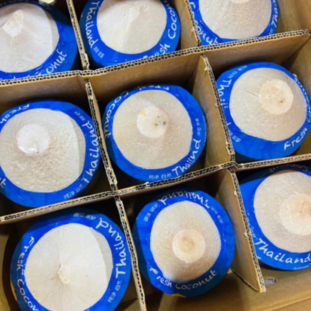 小黄鸭泰国椰青一个1000g