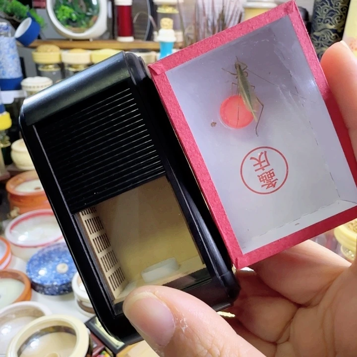 黑色单卷➕精品竹啊啊啊啊