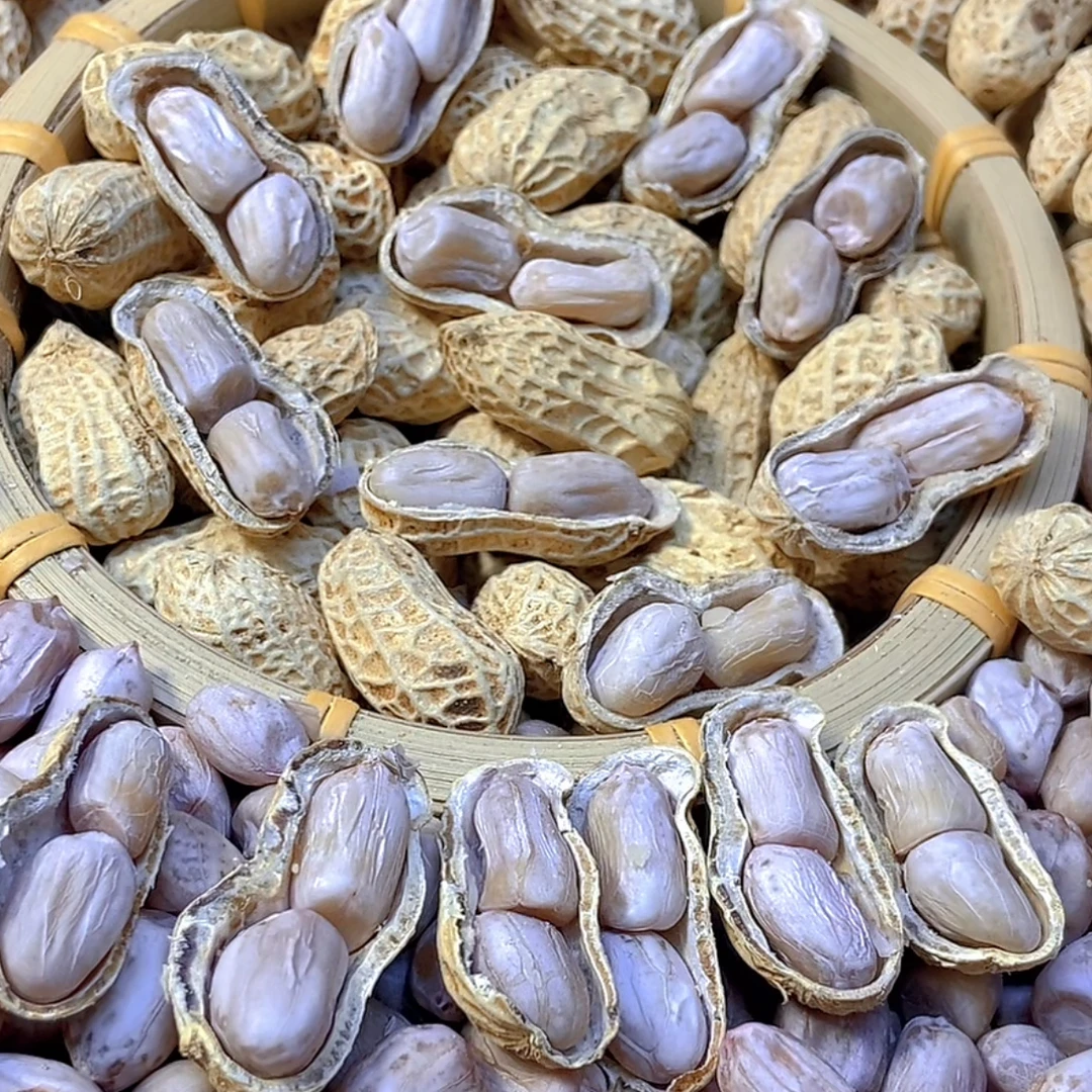 5斤【水煮白晒花生】龙岩花生盐水花生咸干花生带壳1斤熟花生不上火