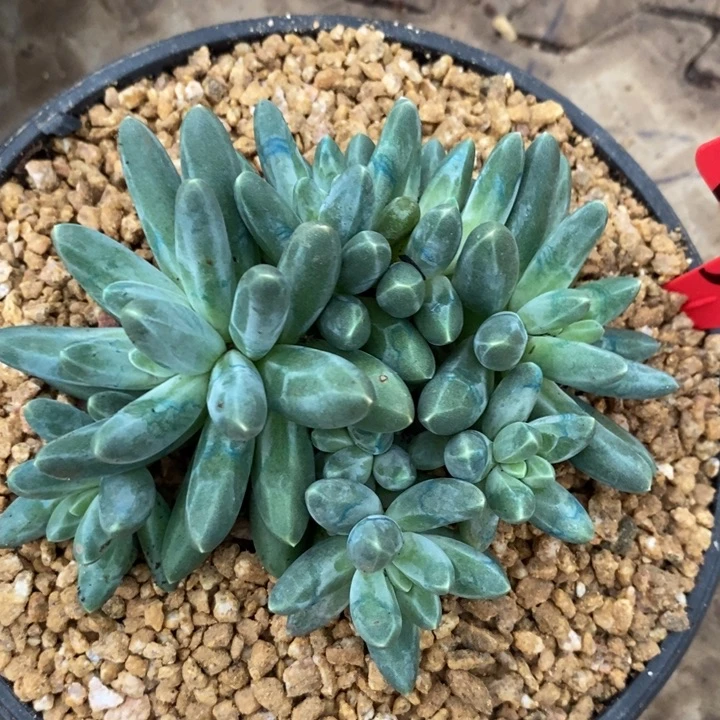 忘*我是真的很喜欢