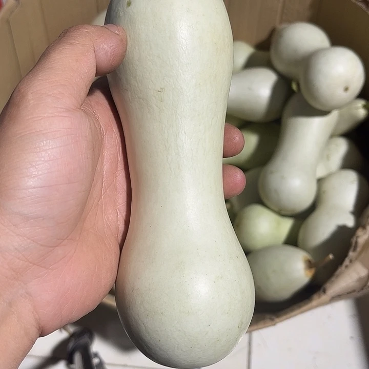非洲紫檀（红花梨）本****者