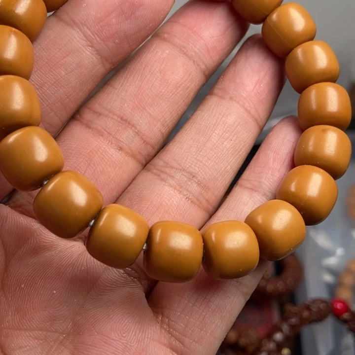 菩提根/象牙果吊坠今天