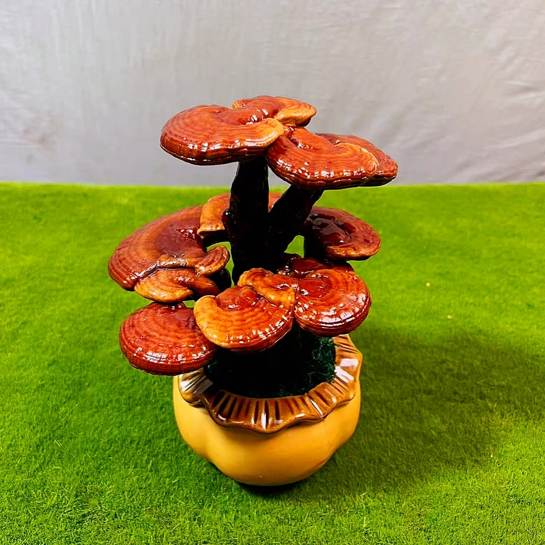 办公桌盆栽高档盆景名贵花灵芝花灵芝摆件千年木观赏闻香除甲醛