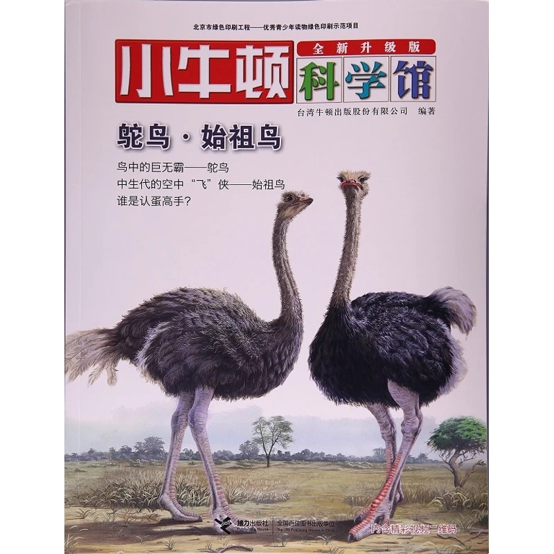 鸵鸟始祖鸟-小牛顿科学馆全新升级版
