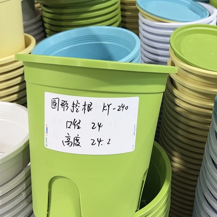 正品圆控口24高24果绿无托8只