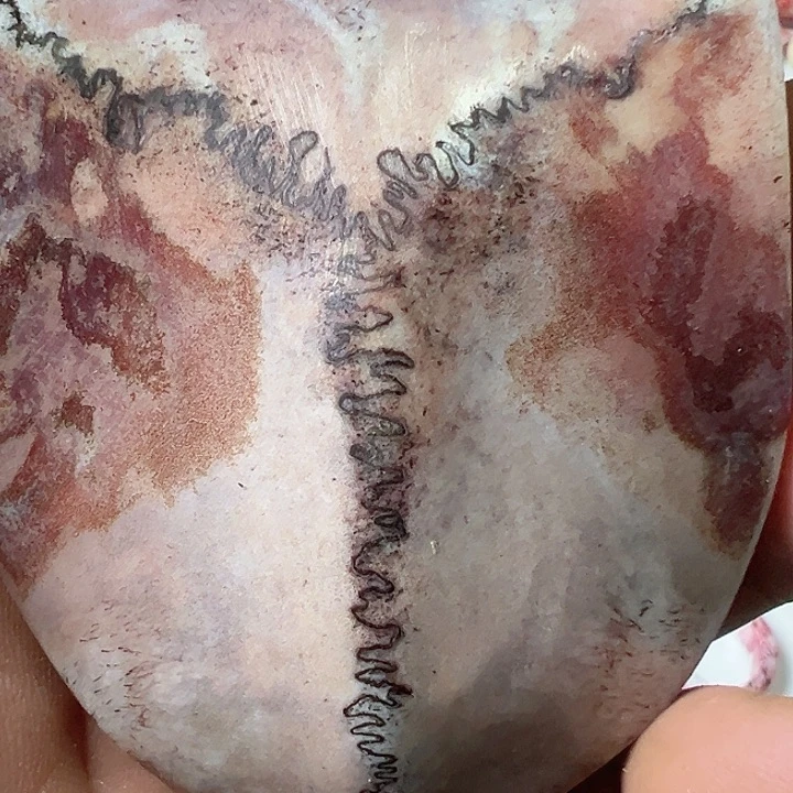 1***3花岗石铁合金养殖鹿骨制作三届牌