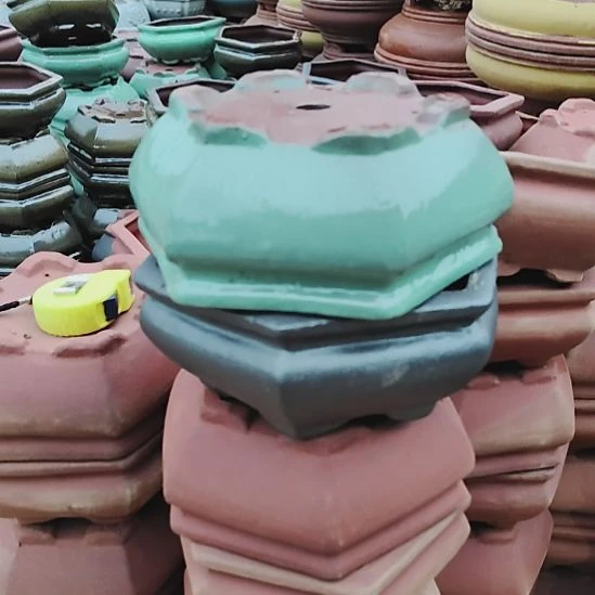 口20*10 微霞两个 黑+绿