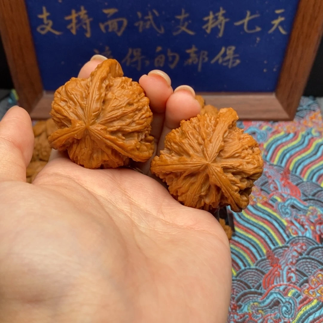 【闪购商品】小**儿白狮