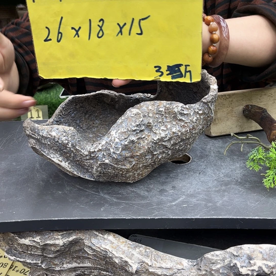 盆景盆异形花盆鱼缸p1-019