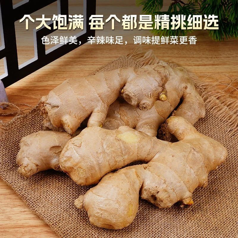 农家高山正宗小黄姜辛辣十足姜味浓郁新鲜现挖嫩姜