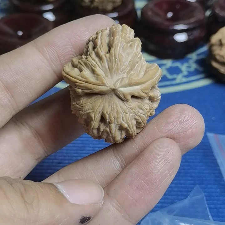 挪***林核桃手串/手链微磕尖