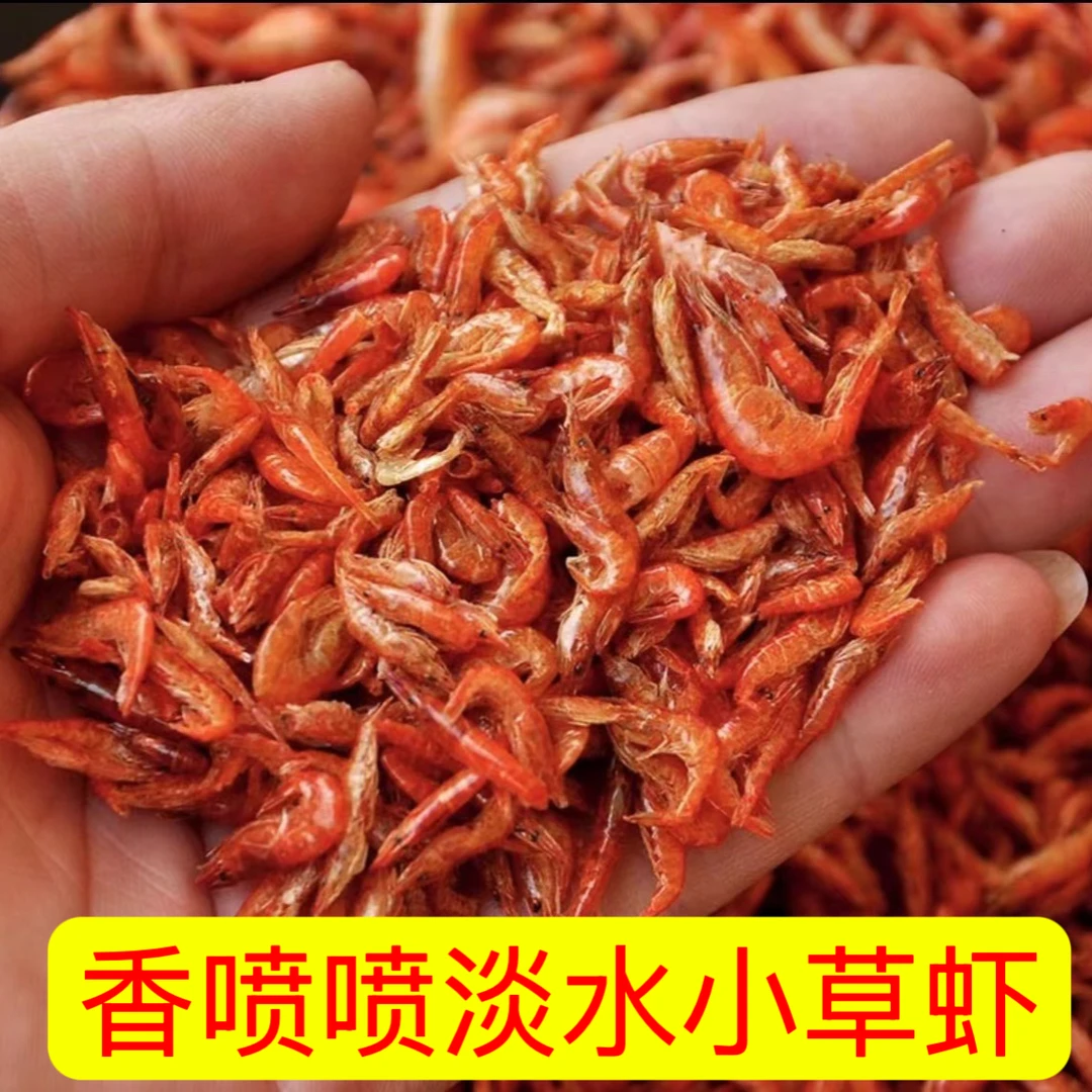 农户散货介意勿拍】大别山老乡淡水小河虾
