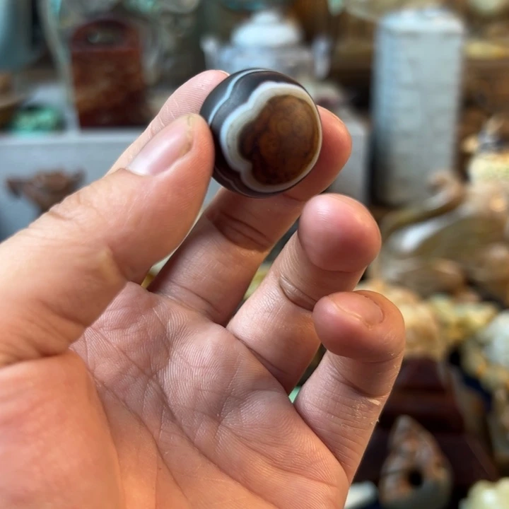 瓷片凤**仪斤斤计较斤斤计较斤斤计较斤斤计较