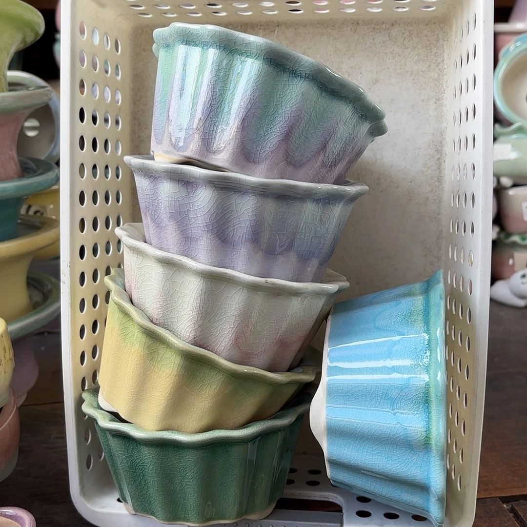 用***2量货/口10高6深浅搭配发6