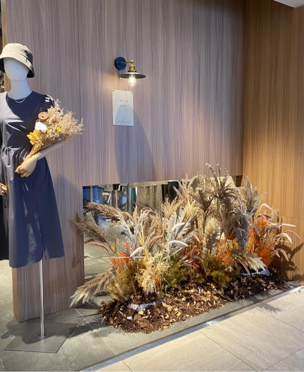 直播间高品质百搭纯棉衬衫