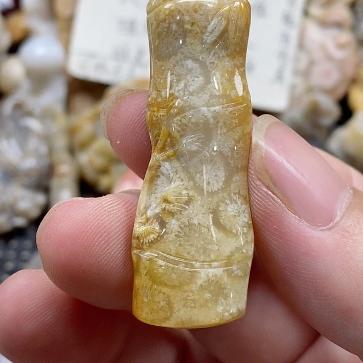 颈饰未镶嵌硅化珊瑚（珊瑚玉）