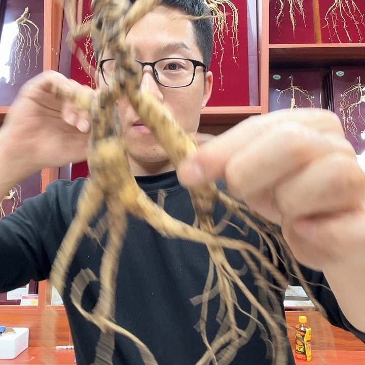 用***0长白上东北老参果子单苗10到100克之间10-50