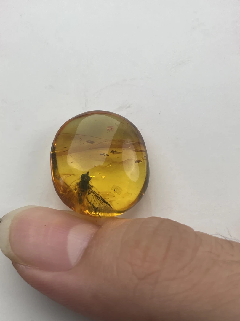 天然琥珀蜜蜡 大蚊子打孔不退不换