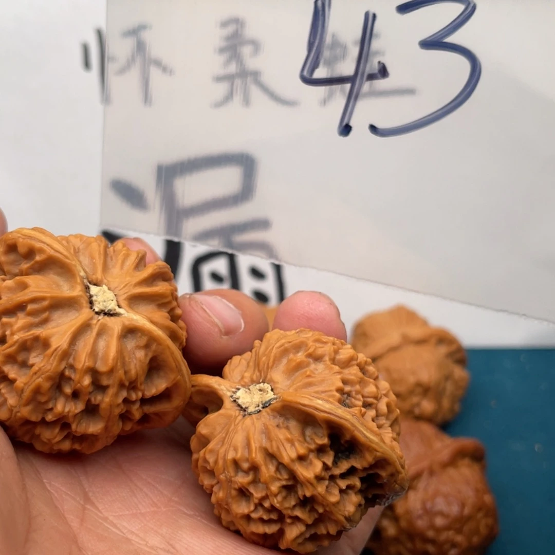 橄榄核手串/手链W684469468863846