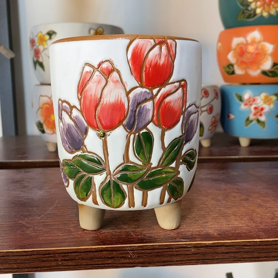 红陶韩式多肉植物花盆