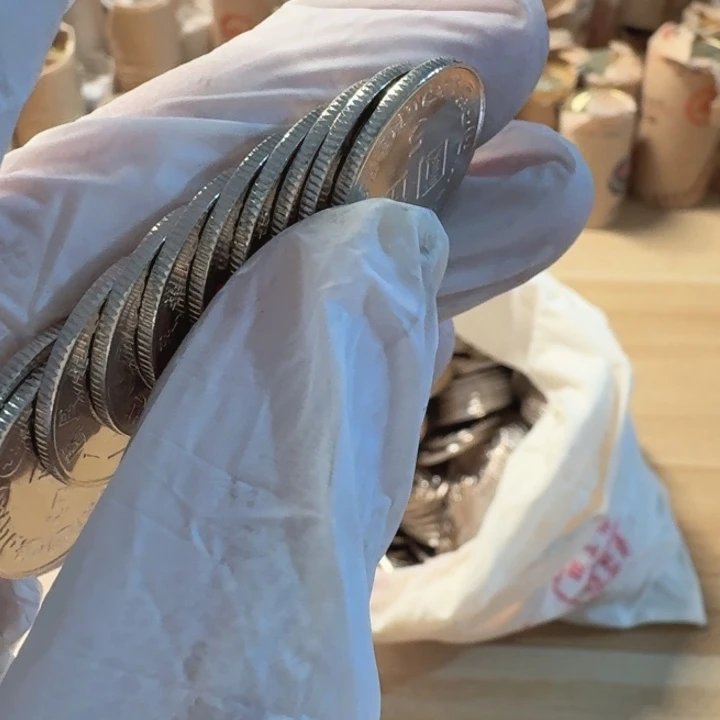 其他普通金属10枚，小5元币
