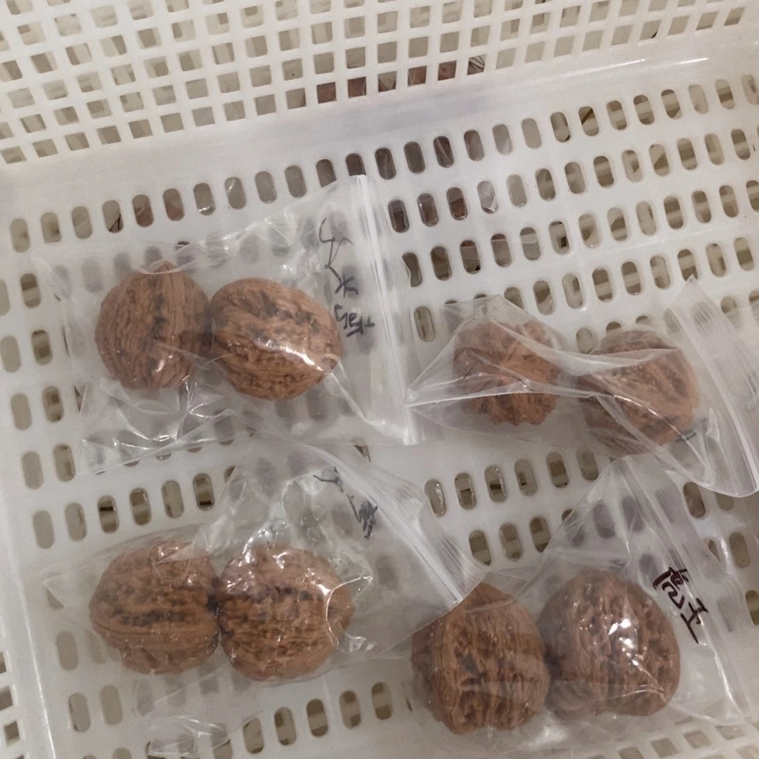 文玩核桃吊坠虎头王有瑕疵