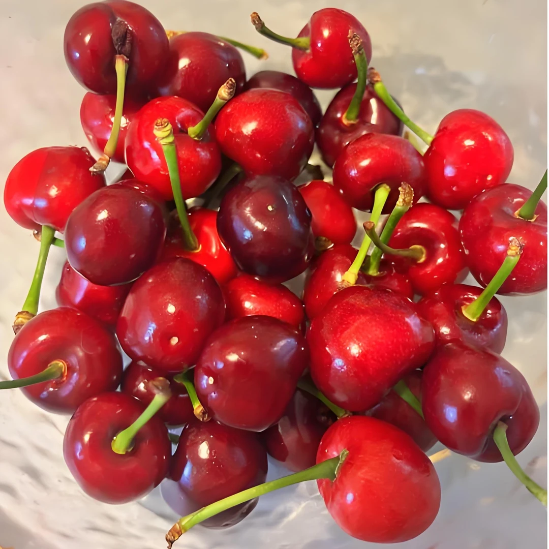 智利进口空运桑提娜红车厘子水果礼盒装3J内附果径卡