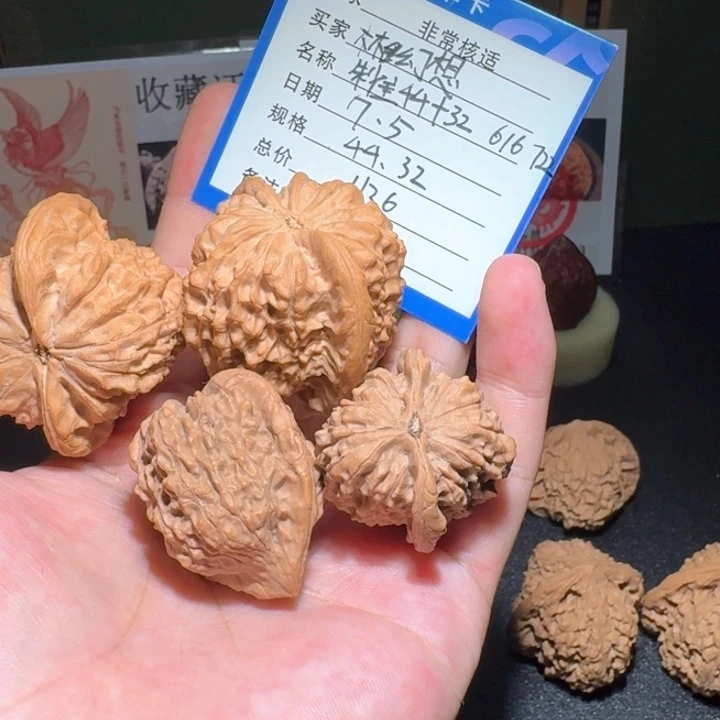 林***想原树朱雀编号616编号722