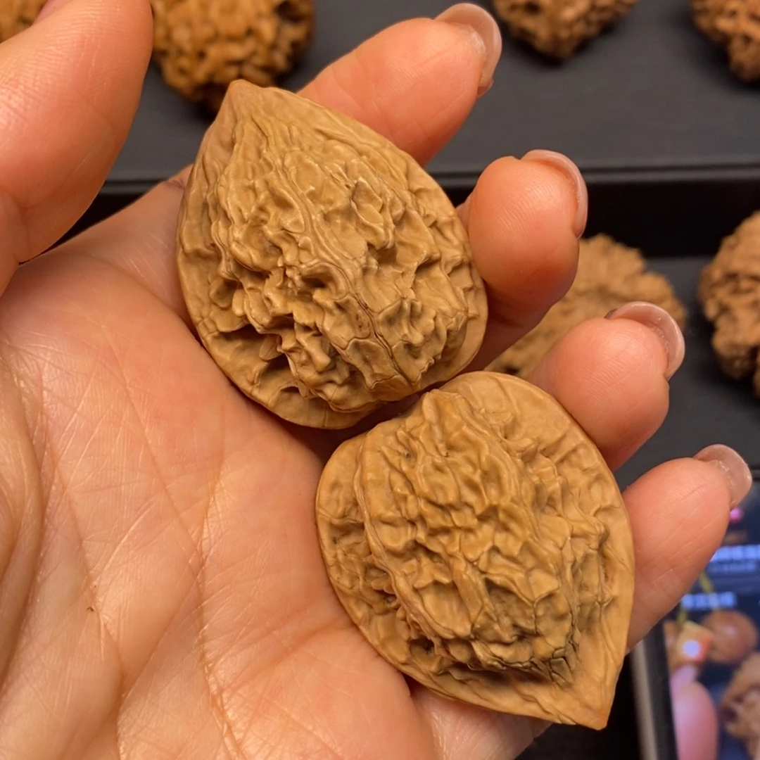 s*s秦岭南北缘和秦岭北麓部分