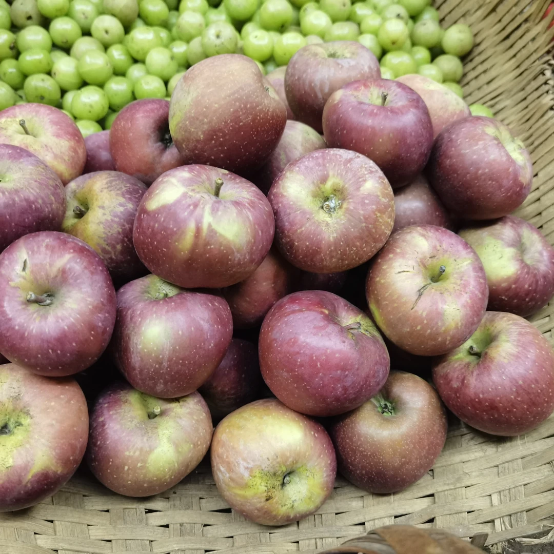 云南高山农户自种香甜丑苹果