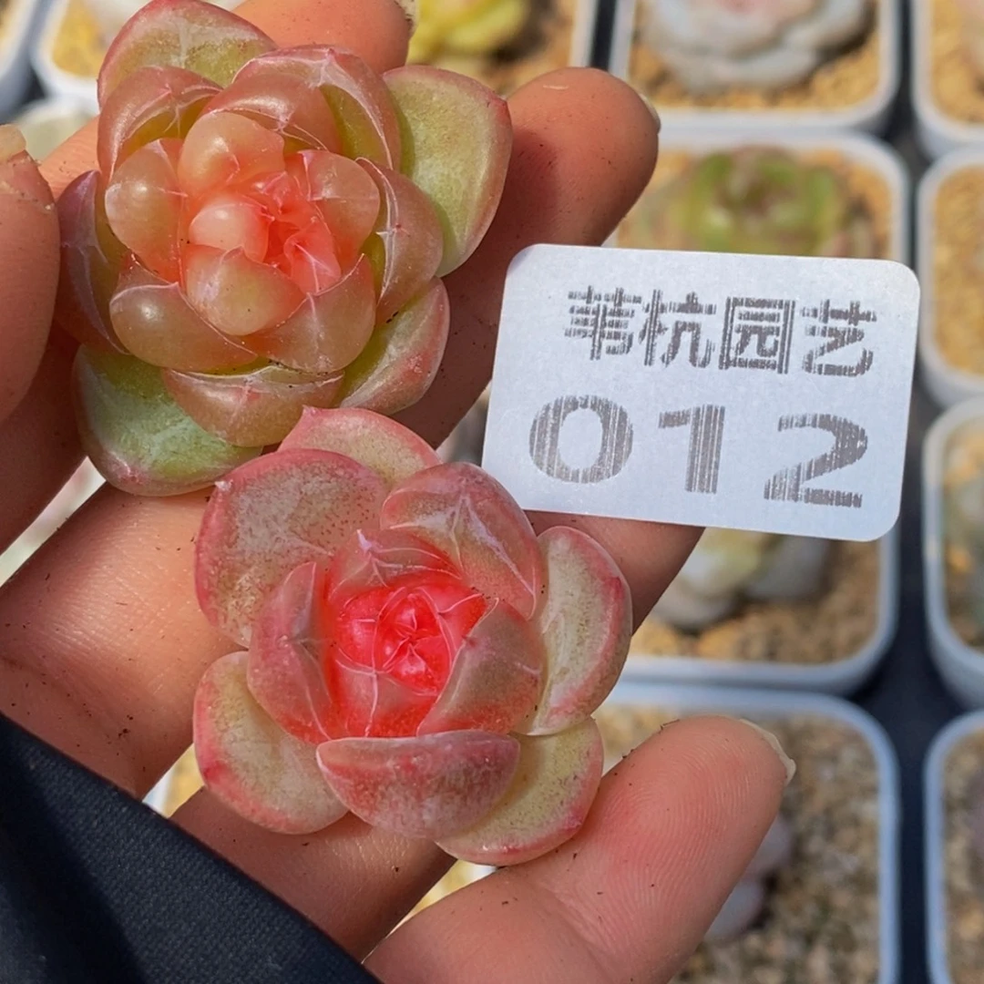 012的人在一起的时候我就