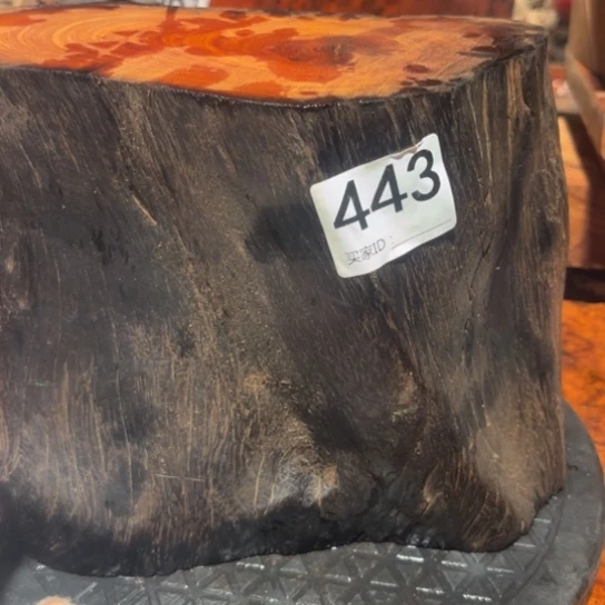 大果紫檀（缅甸花梨）