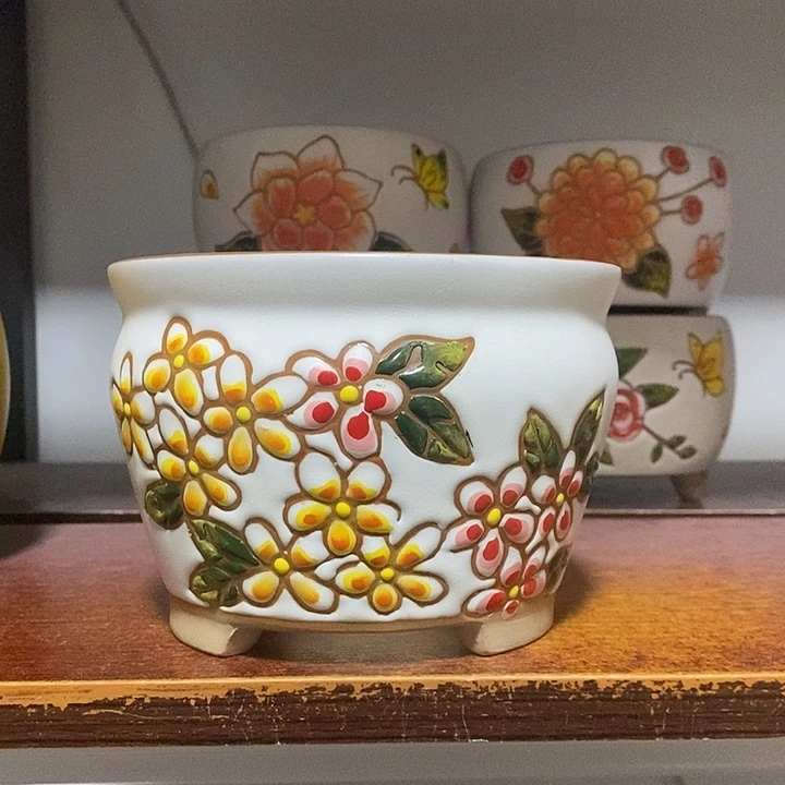 韩式多肉植物花盆