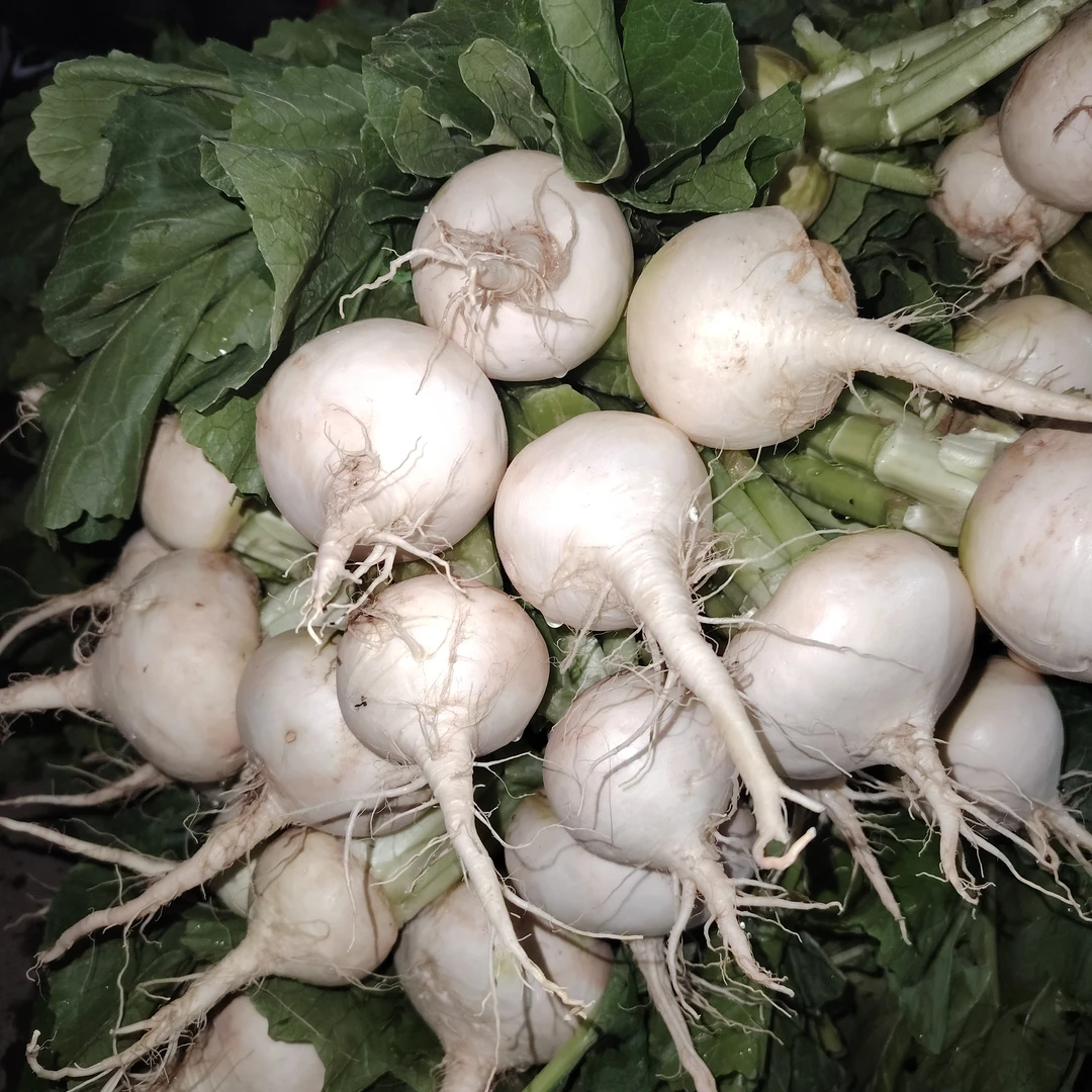 كۆك چامغۇر 差马古1kg