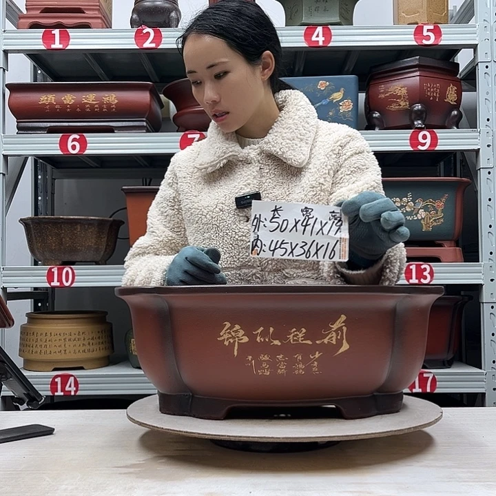 紫砂花盆紫砂花盆