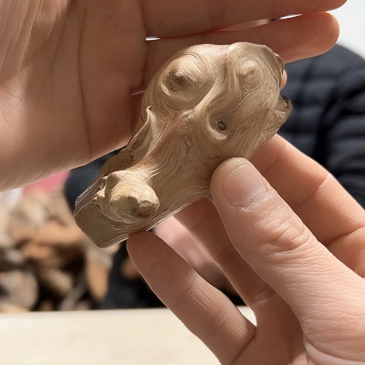 柏木心**阳我们的生活也是